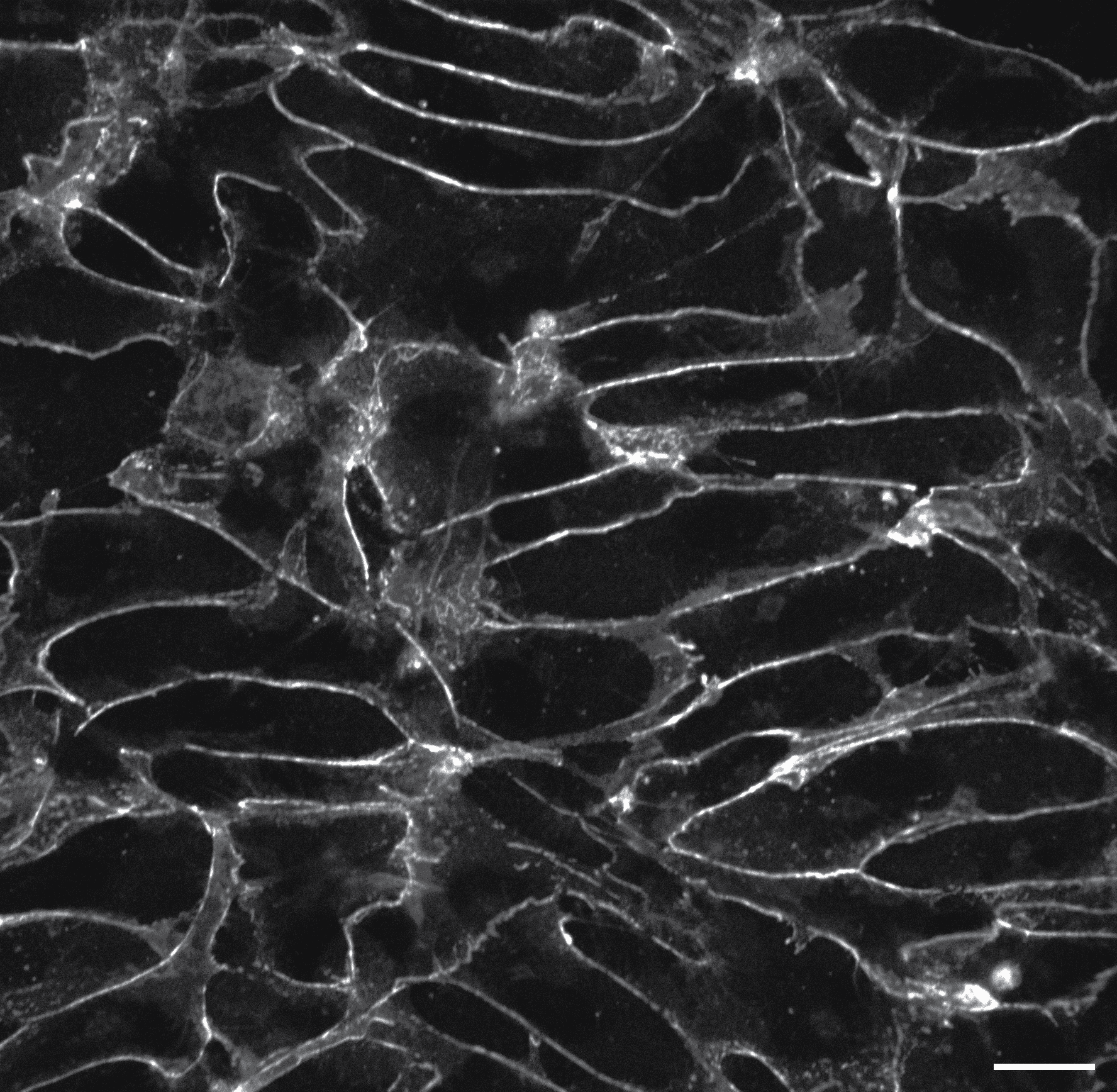 [object Object] thumbnail