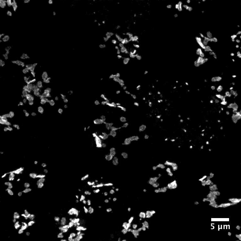 [object Object] thumbnail